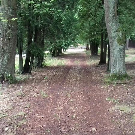 Stacja Wypoczynkowa Augustow Villa Buitenkant foto